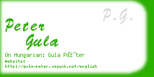 peter gula business card